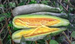 可以吃所有网红的瓜,揭秘全网热门事件背后的真相